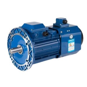 Aluminum Squared-Type Variable Frequency Three-phase Asynchronous Motor