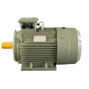 Single-phase Asynchronous Motor